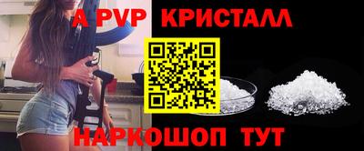 спайс Будённовск