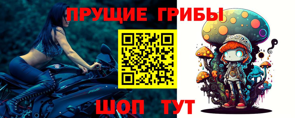 Шебекино  цена наркотик  Вход с VPN  Псилоцибиновые грибы мицелий 